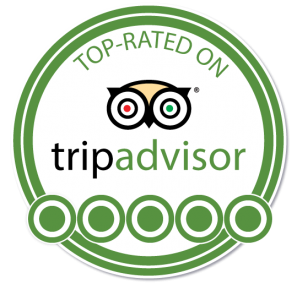 Trip Adviser Logo