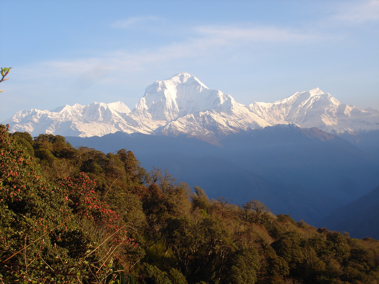 Khopra Danda trek